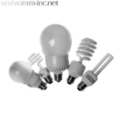 лампы: светодиодные, энергосберегающие, люминисцентные