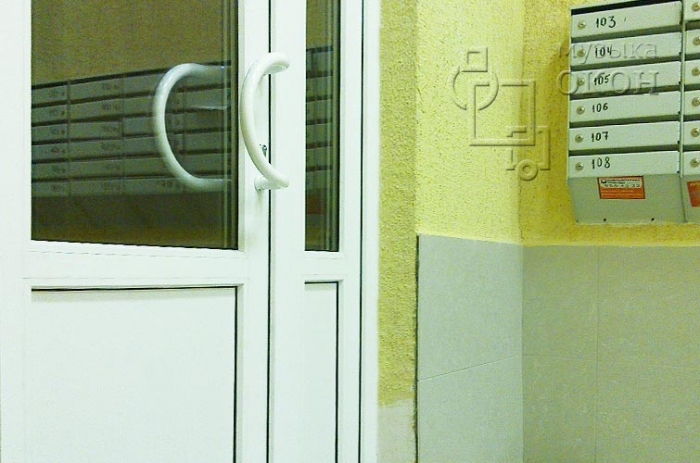 Проект выполнен в Санкт-Петербурге, в ТСЖ Невского района. Остекление производилось пластиковыми дверьми, цвет изделий - Белый. Были установлены тамбурные двери, что существенно сокращает теплопотери.