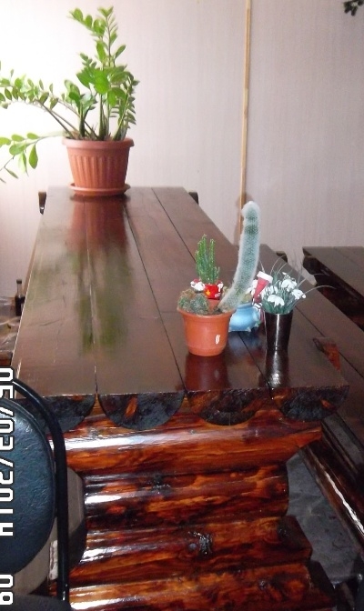 Сделаем  из оцилиндрованных  бревен  массивные столы с лавками