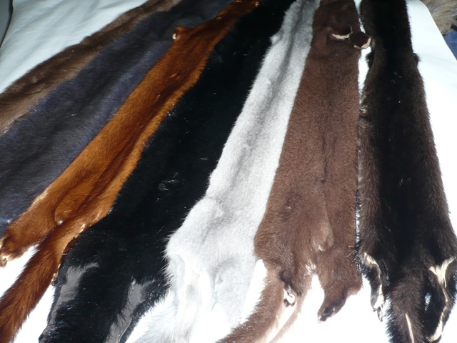 Лён. 100% льняное полотно, смесовое полотно - 51% лен + 49% хлопок: скатертное полотно, ткани бельевые, костюмные и блузочно-сорочечные ткани, холст полотенечный, художественные ткани (холст для живописи, театральное полотно, ткань для вышивки), равентух, тентовая ткань, двуниток, махра.